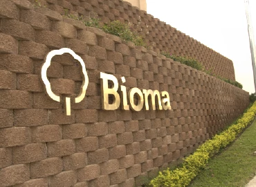 bioma-muro-contencion