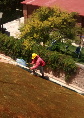 geomanta-de-fibra-de-coco