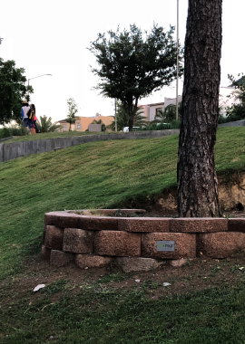 parques-jardineras-muro